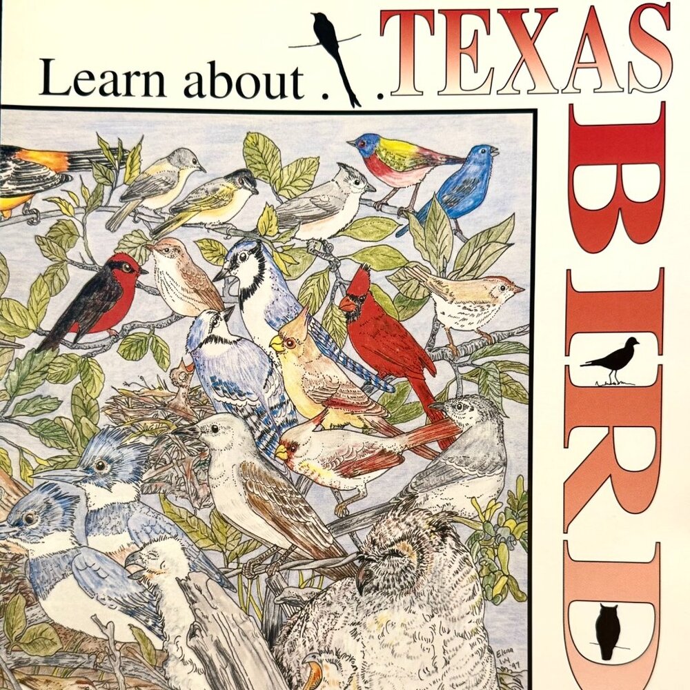 Learn About TEXAS BIRDS for kids ages 6-12 Educational Activity Book pb
